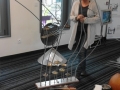 Expo sonore 2