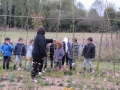 jardin de pirouette5