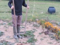 jardindepirouette031
