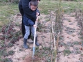 jardindepirouette033