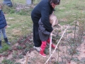 jardindepirouette035