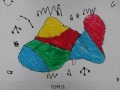 Tom-D