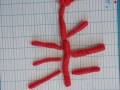 pateamodeler018