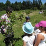 jardinjuin004
