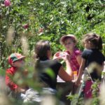 jardinjuin008
