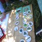 jardinjuin017