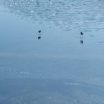Image0013